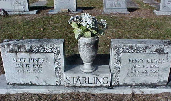 Alice Hines & Perry Oliver Starling Gravestone Photo