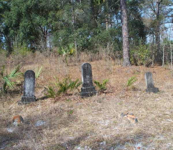  Sectional View Gravestone Photo