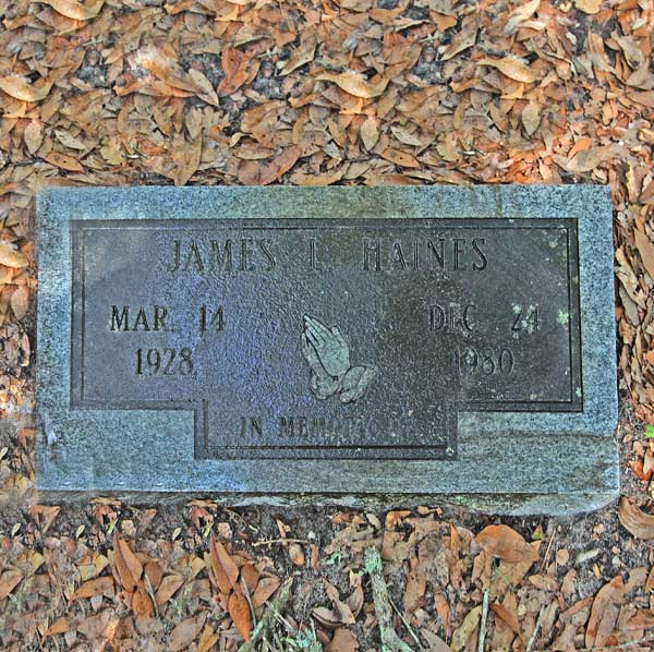James I. Haines Gravestone Photo