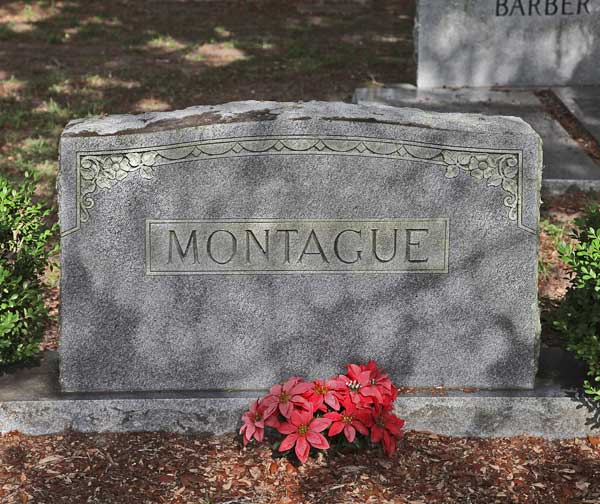  Montague family Gravestone Photo