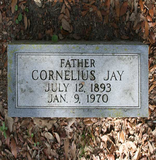 Cornelius Jay Runnels Gravestone Photo