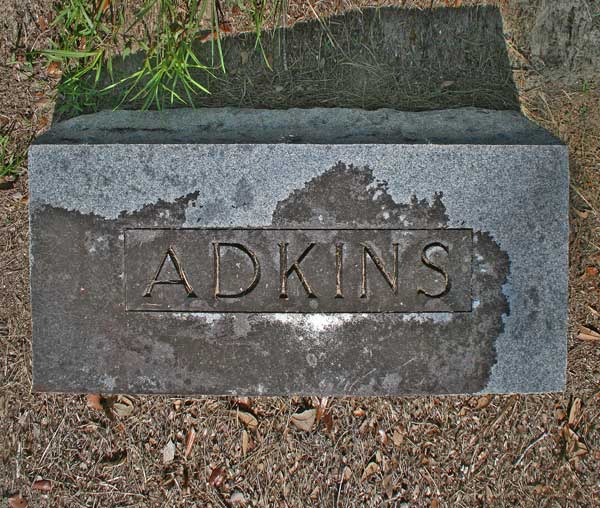  Adkins family Gravestone Photo