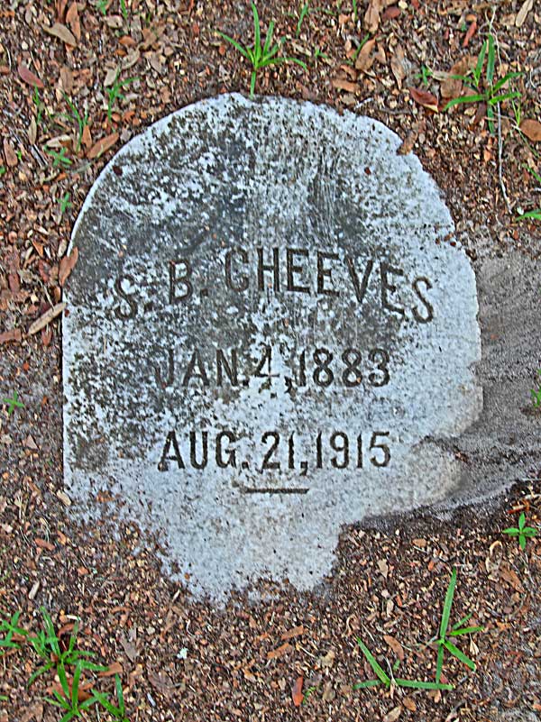 S. B. Cheeves Gravestone Photo