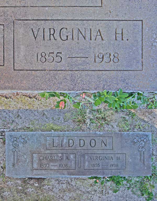 Virginia H. Liddon Gravestone Photo
