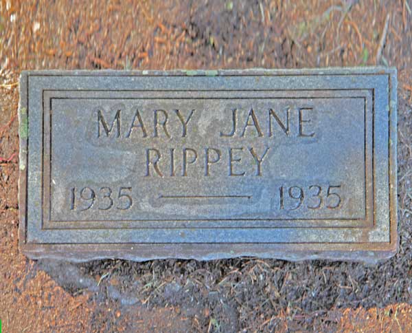 Mary Jane Rippey Gravestone Photo