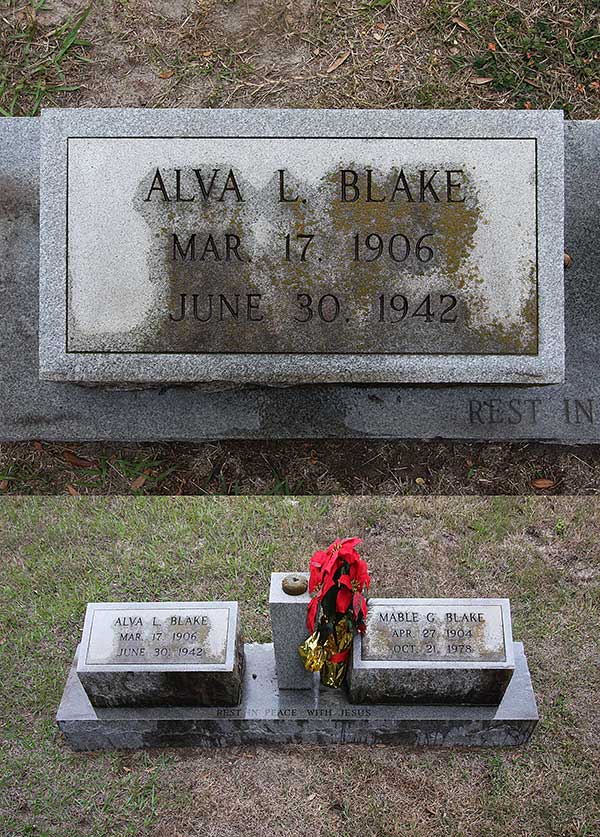 Alva L. Blake Gravestone Photo
