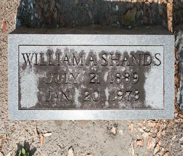 William A. Shands Gravestone Photo