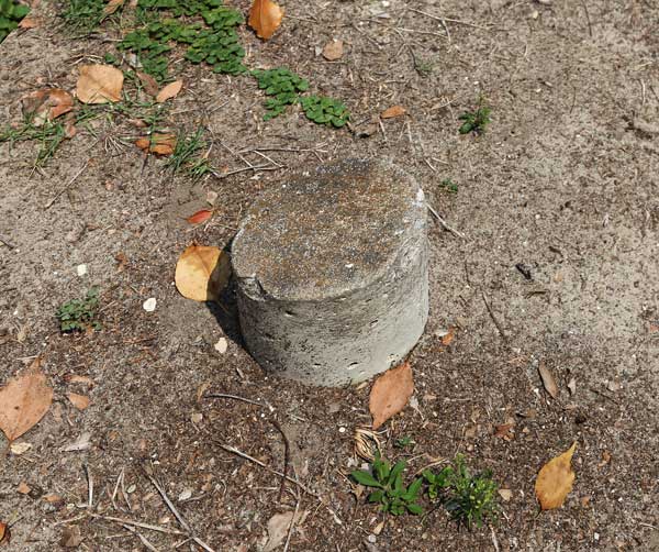  Unknown Gravestone Photo