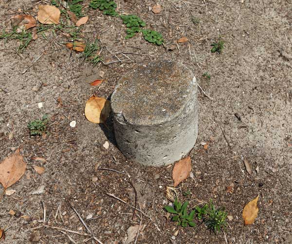  Unknown Gravestone Photo