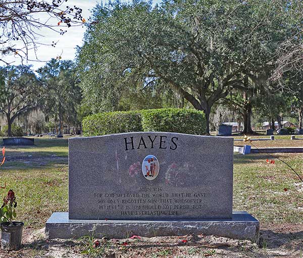  Hayes Family Monument Gravestone Photo