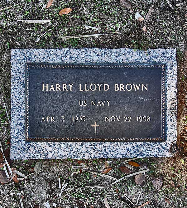 Harry Lloyd Brown Gravestone Photo