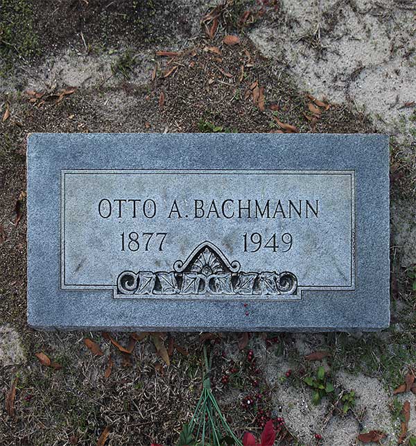 Otto A. Bachmann Gravestone Photo