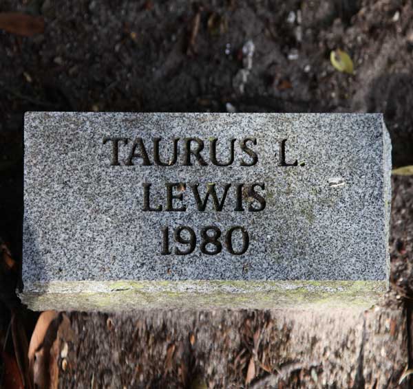 Taurus L. Lewis Gravestone Photo
