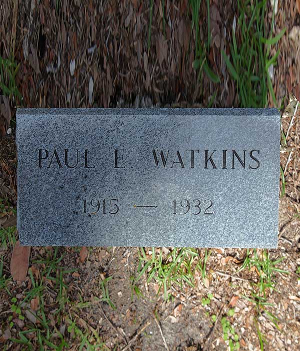 Paul E. Watkins Gravestone Photo