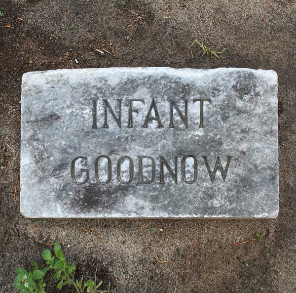 Infant Goodnow Gravestone Photo