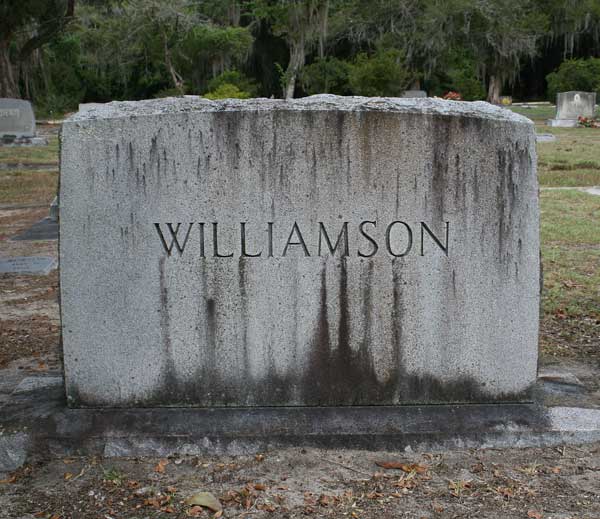  Williamson family Gravestone Photo
