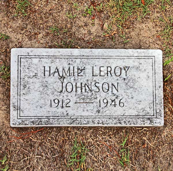 Hamil Leroy Johnson Gravestone Photo