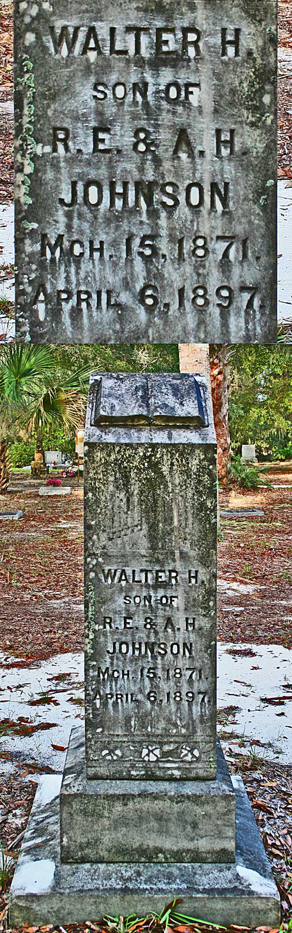 Walter H. Johnson Gravestone Photo