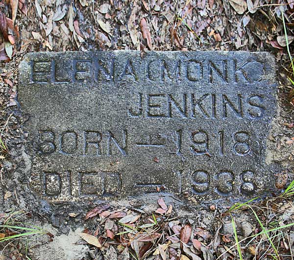 Elena (Monk) Jenkins Gravestone Photo