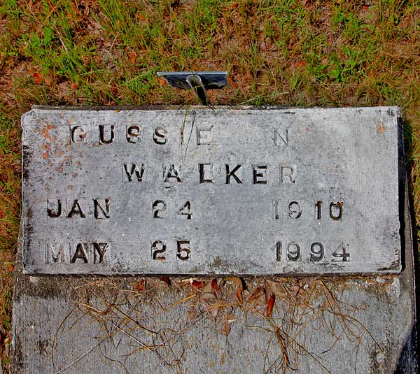 Gussie N. Walker Gravestone Photo