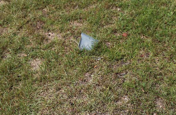  Unknown Gravestone Photo