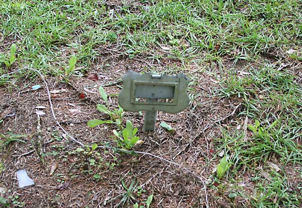  Unknown Gravestone Photo