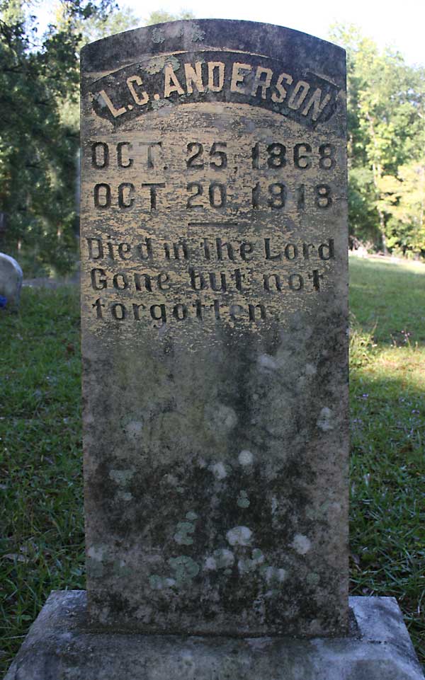 L.C. Anderson Gravestone Photo