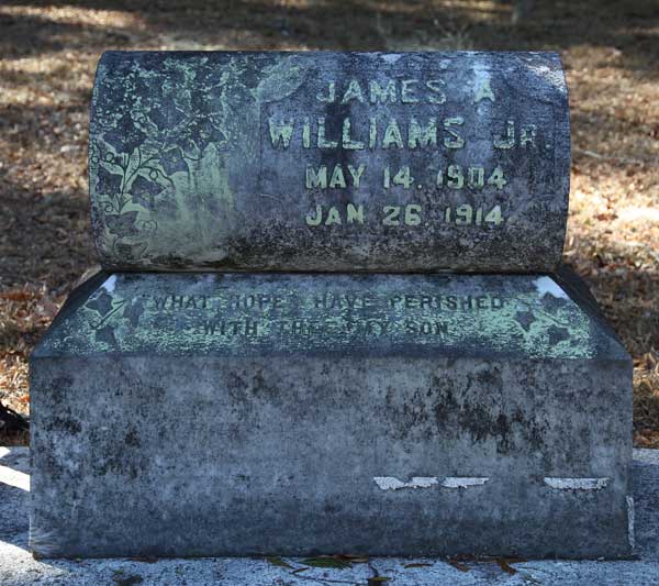 James A. Williams Gravestone Photo