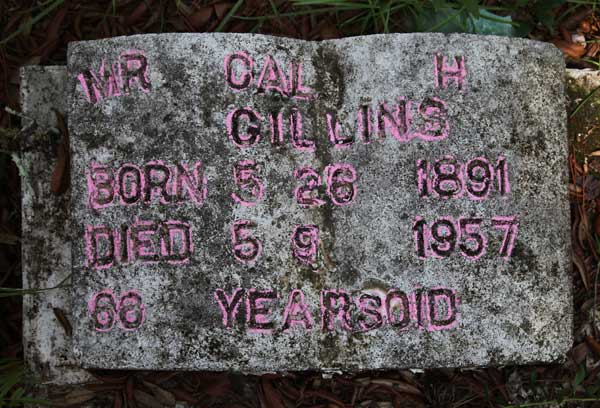 Cal H. Gillins Gravestone Photo