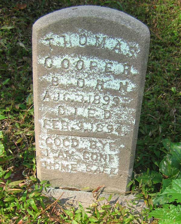 Thomas Cooper Gravestone Photo