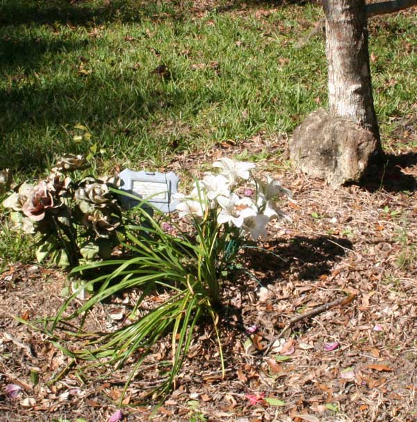  Unknown Gravestone Photo