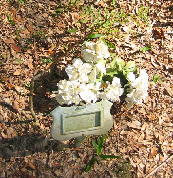  Unreadable Gravestone Photo