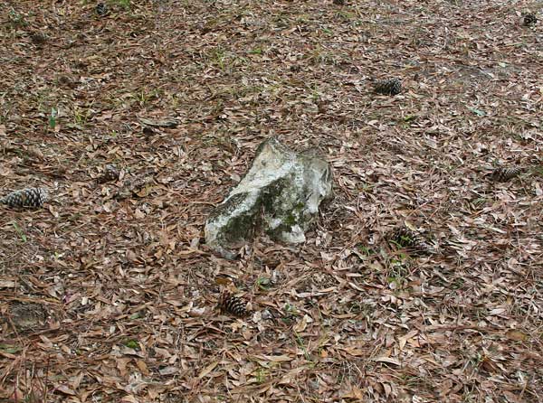  Unknown Gravestone Photo