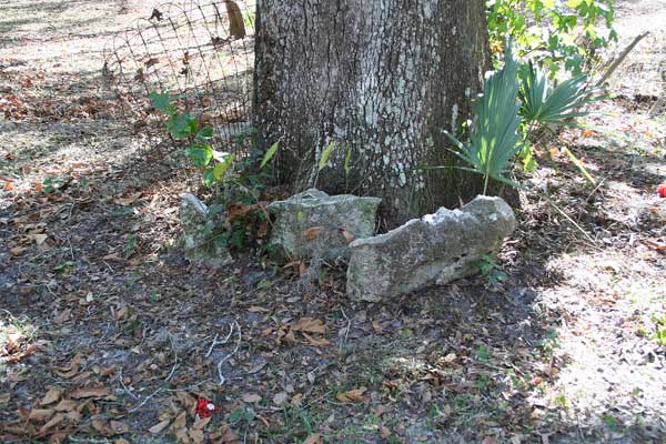  Unknown Gravestone Photo