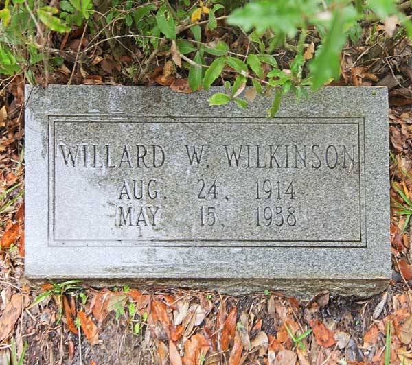 Willard W. Wilkinson Gravestone Photo