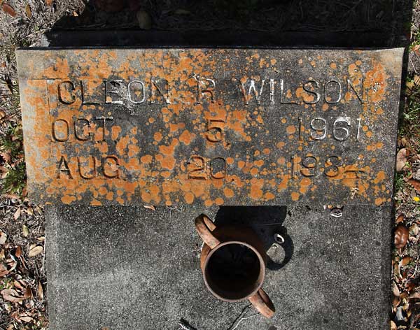 CLEON R. WILSON Gravestone Photo