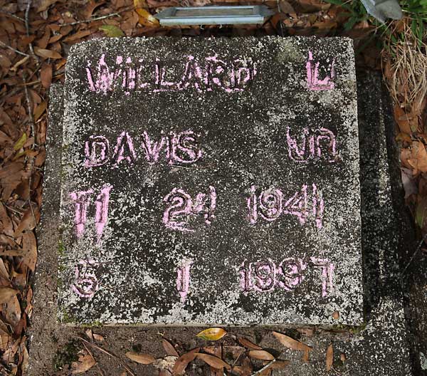 WILLARD L. DAVIS Gravestone Photo