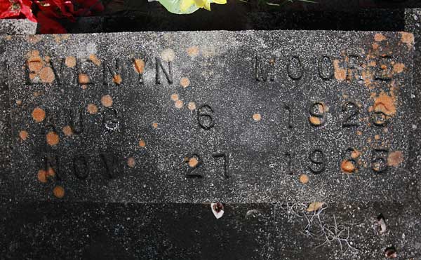 Evenyn Mooe Gravestone Photo