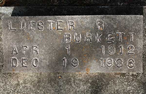 Luester R. Burkett Gravestone Photo
