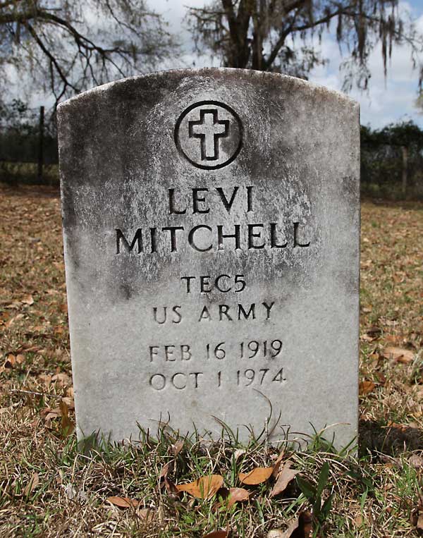 LEVI MITCHELL Gravestone Photo