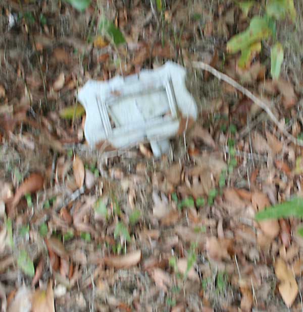  UNKNOWN Gravestone Photo