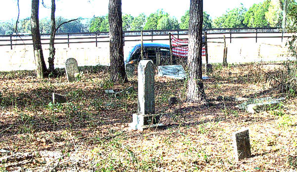 Sectional View WView Gravestone Photo