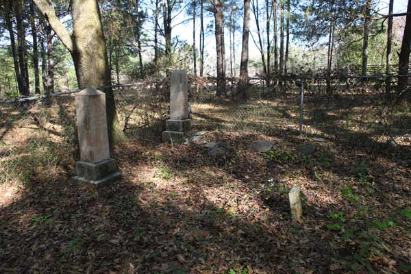  Wide Angle View of Corner of Cemetery Gravestone Photo