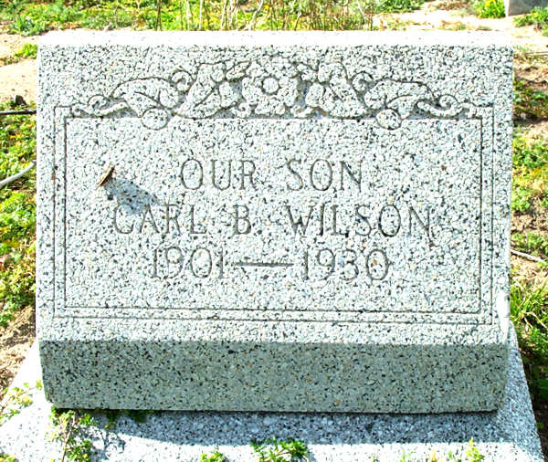 Carl B. Wilson Gravestone Photo
