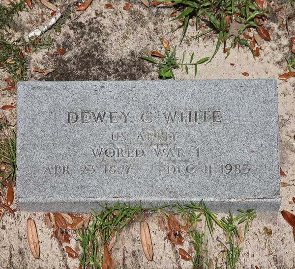 Dewey C. White Gravestone Photo