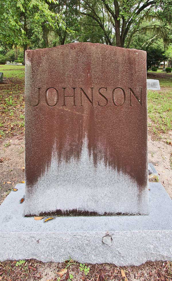  Johnson family Gravestone Photo