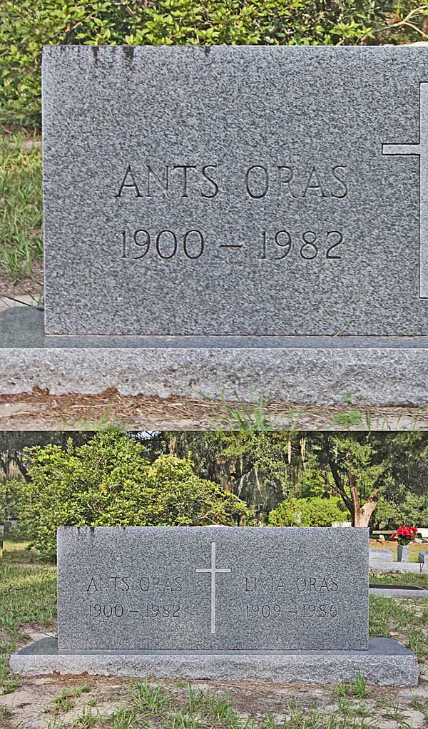 Ants Oras Gravestone Photo