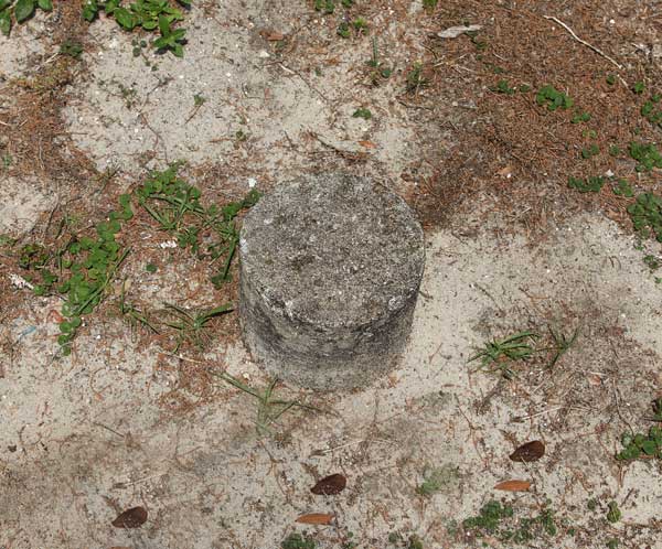  Unknown Gravestone Photo