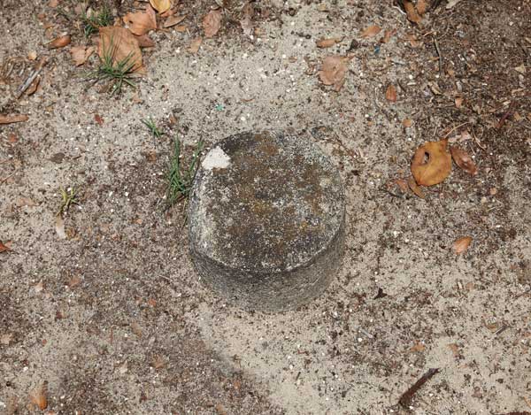  Unknown Gravestone Photo