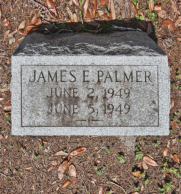 James E. Palmer Gravestone Photo